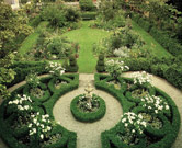 Experience Corinda Garden with Botanica