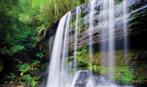 Tasmania, Russell Falls