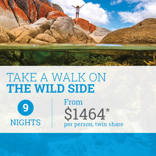 Take a Walk on the Wild Side Package from TasVacations