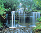 Tasmania, Mt Field National Park