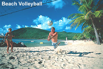 bram_tn_volleyball