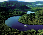 Cruise the World Heritage wilderness of the Gordon River