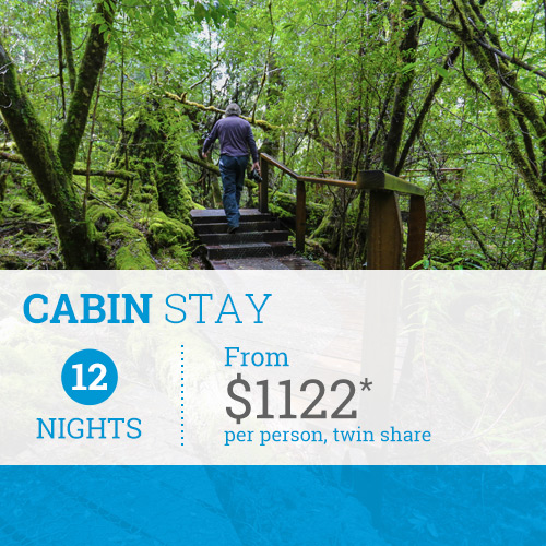 Cabin Stay from TasVacations