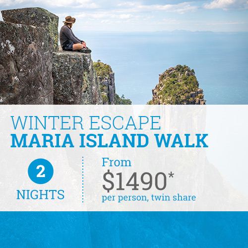 Maria Island Walk from TasVactions image